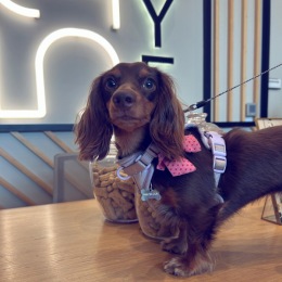 Instagram post from @511Faye on July 24, 2023 14:42:24pm